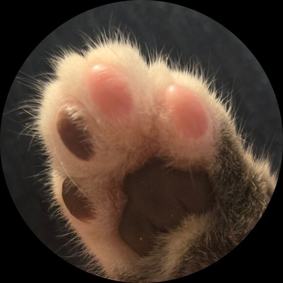 ms626_2022